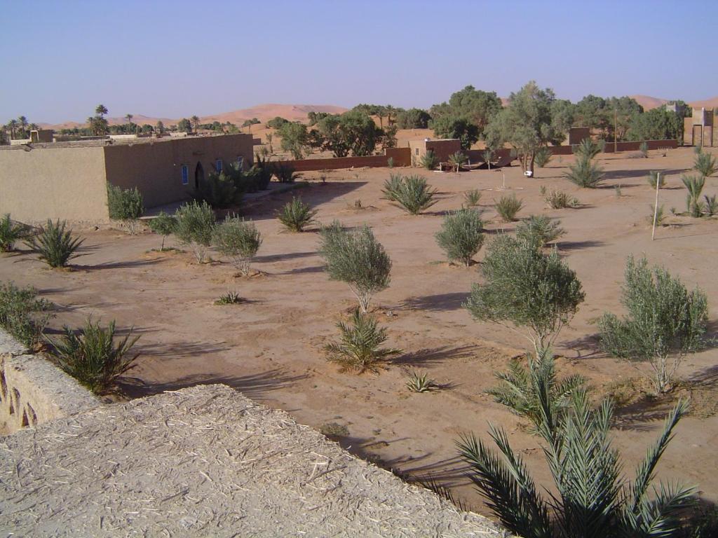 Auberge Africa Merzouga Bagian luar foto
