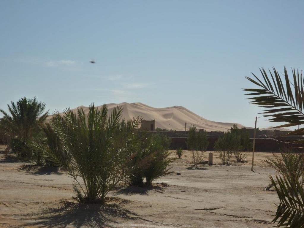 Auberge Africa Merzouga Bagian luar foto