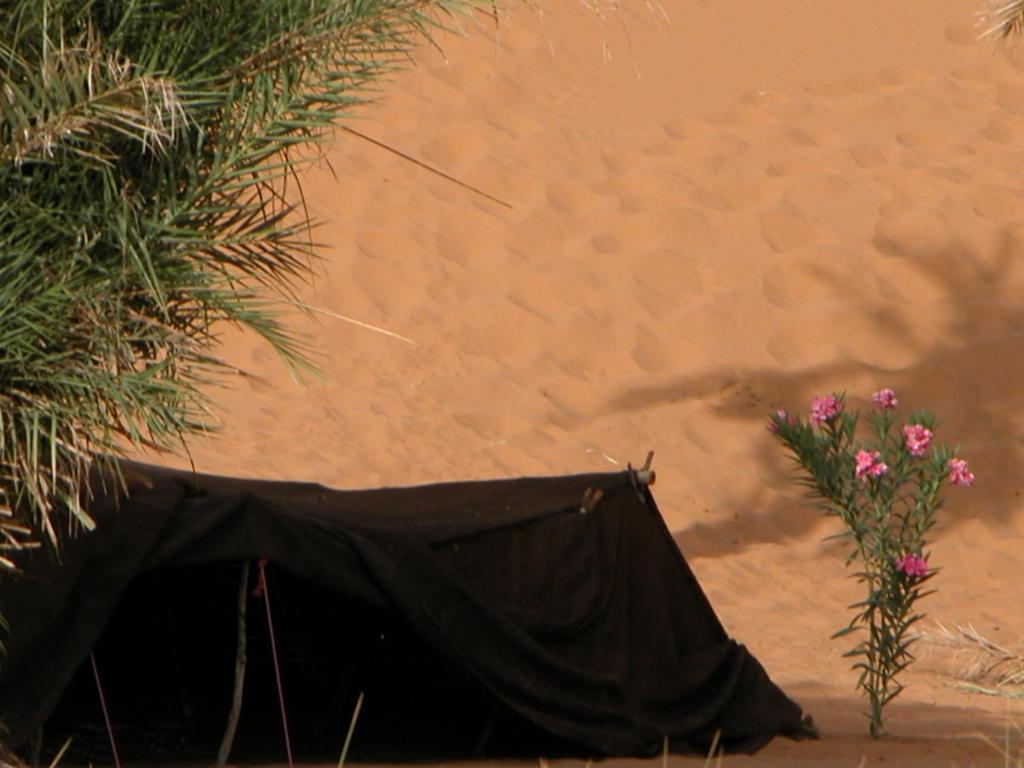 Auberge Africa Merzouga Ruang foto