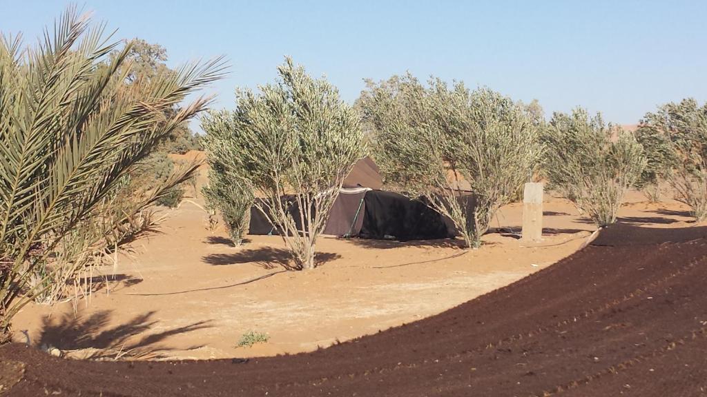 Auberge Africa Merzouga Ruang foto