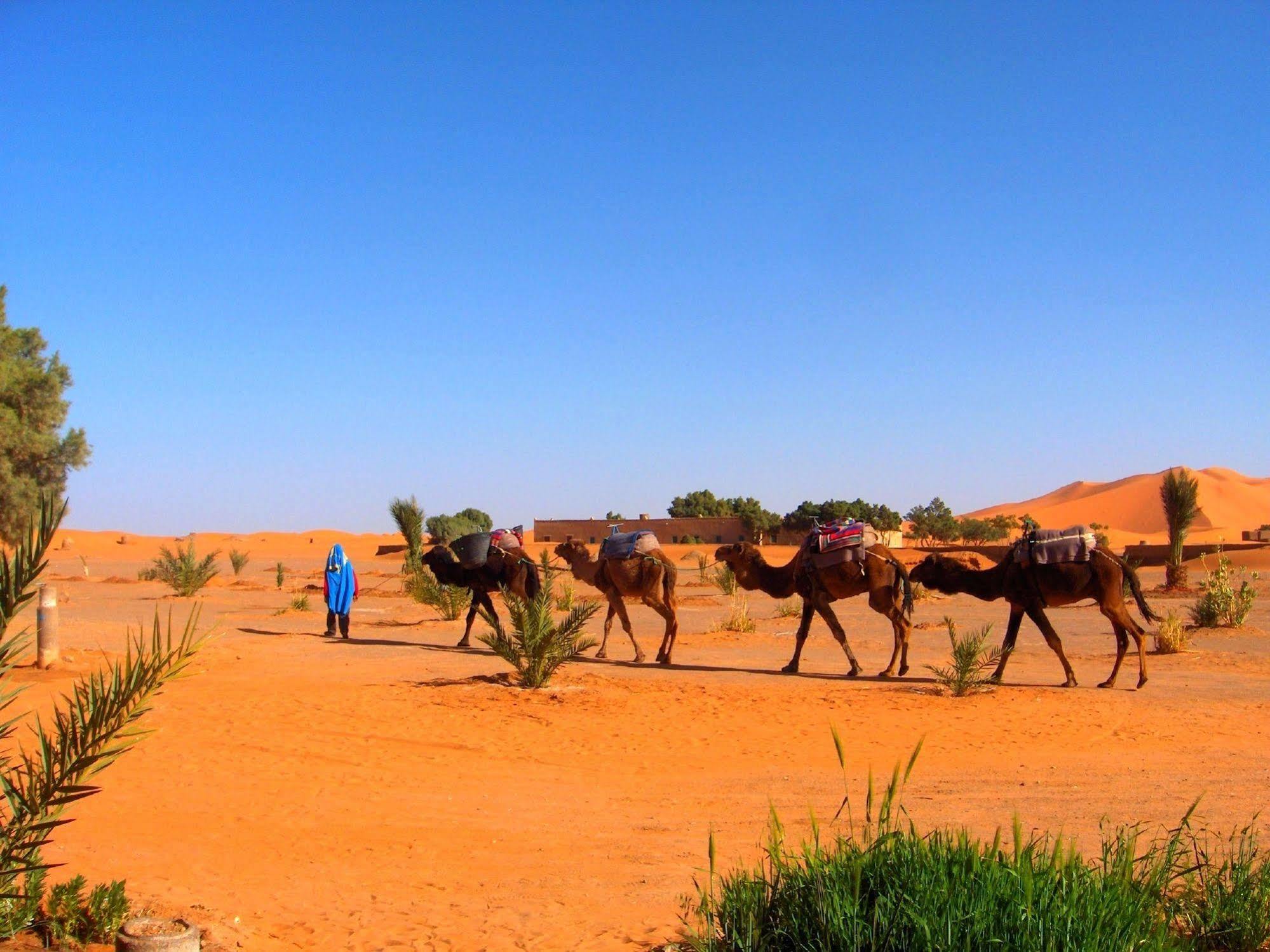 Auberge Africa Merzouga Bagian luar foto