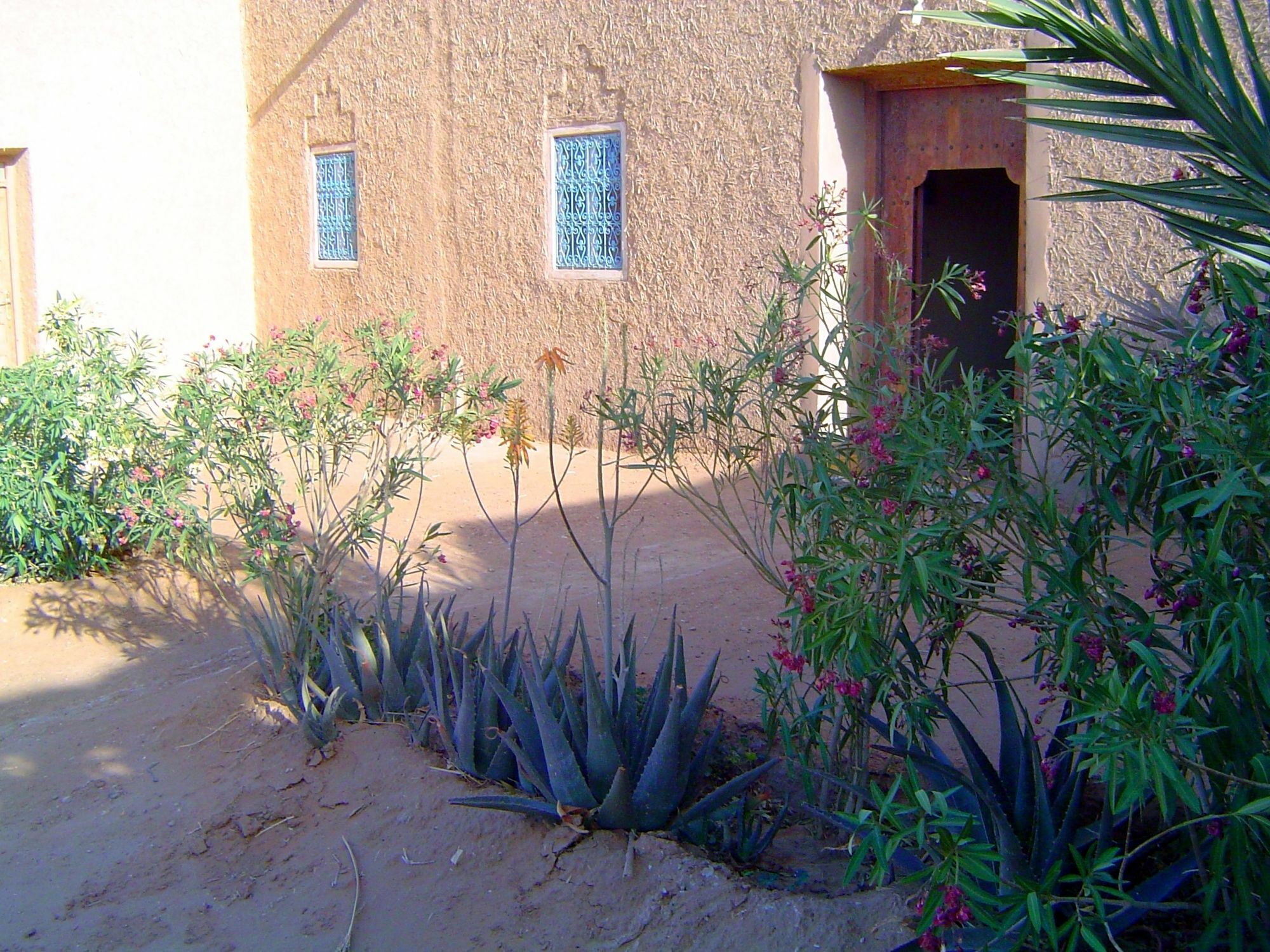 Auberge Africa Merzouga Bagian luar foto
